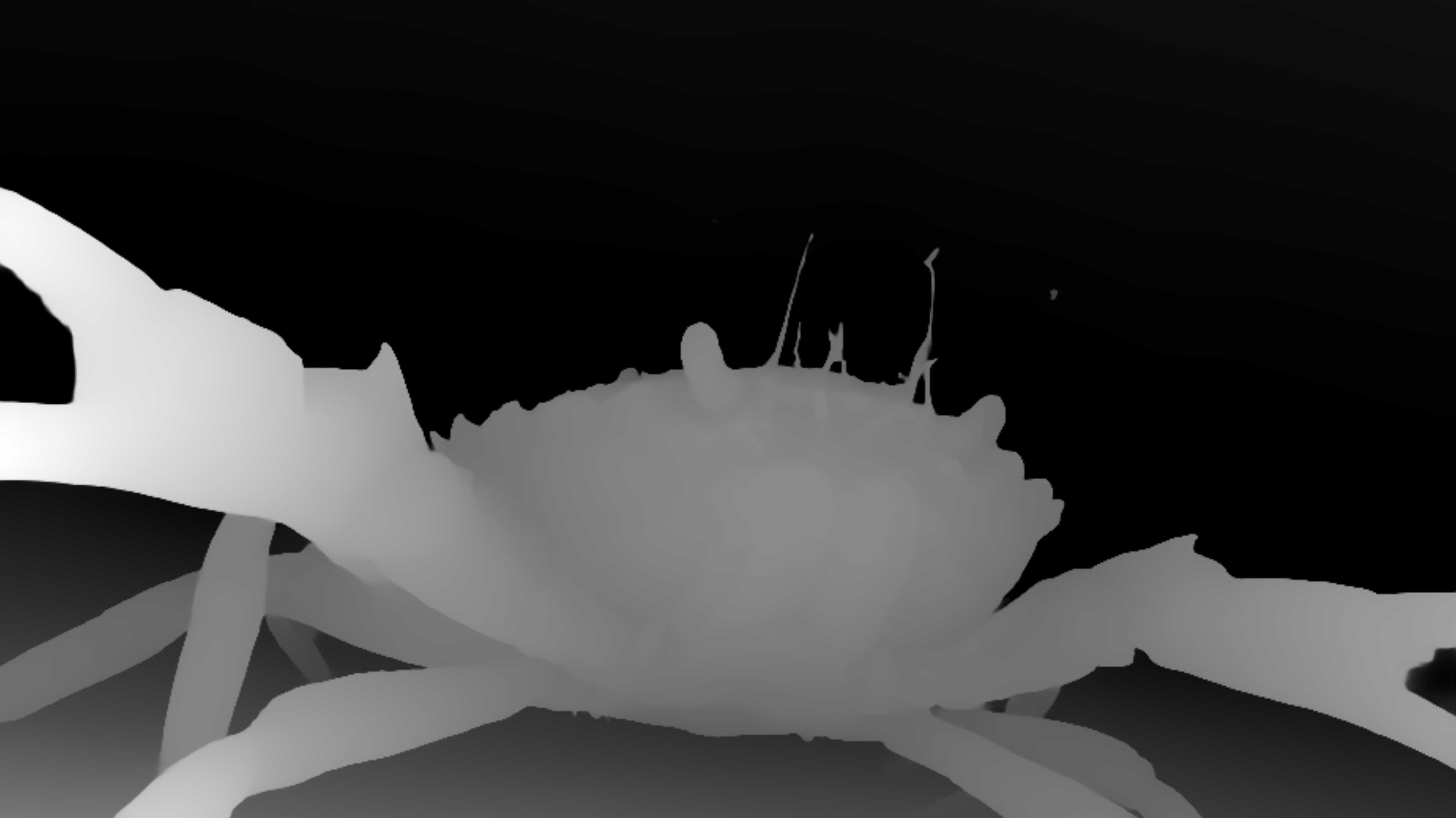 Here should be a depth image of a Crab